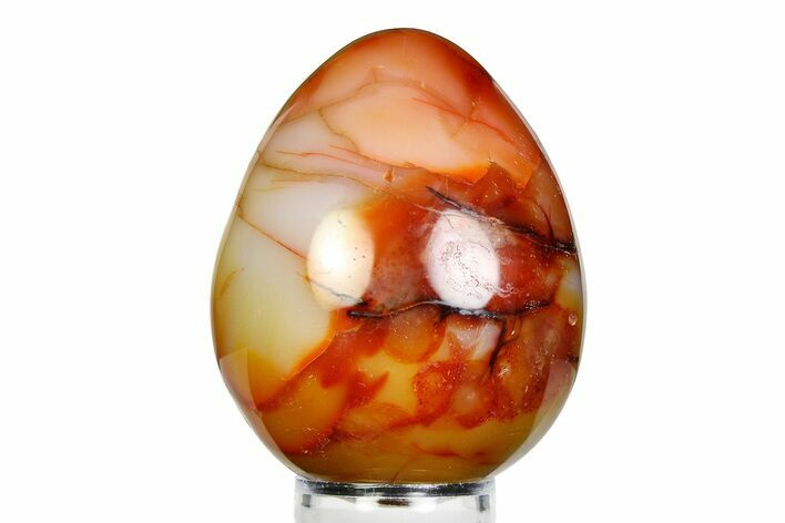 Vibrant Polished Carnelian Agate Egg - Madagascar #355493